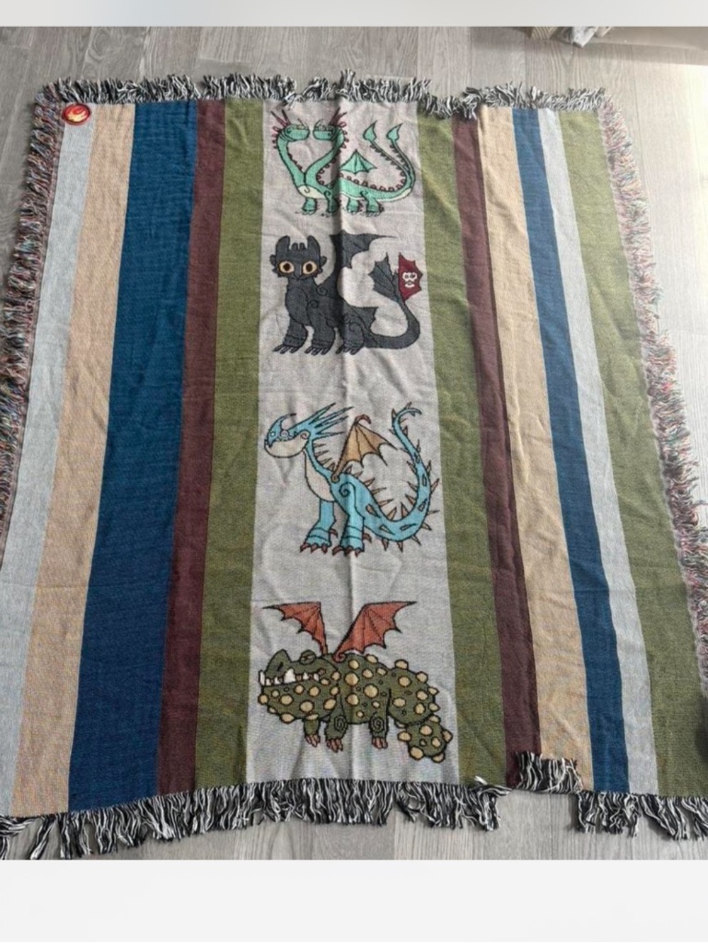 Striped how to train your Dragons Throw Blanket universal studios
